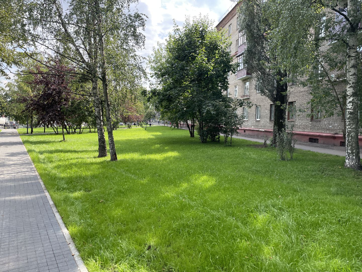 Кот, ремонт, благоустройство, МЦД