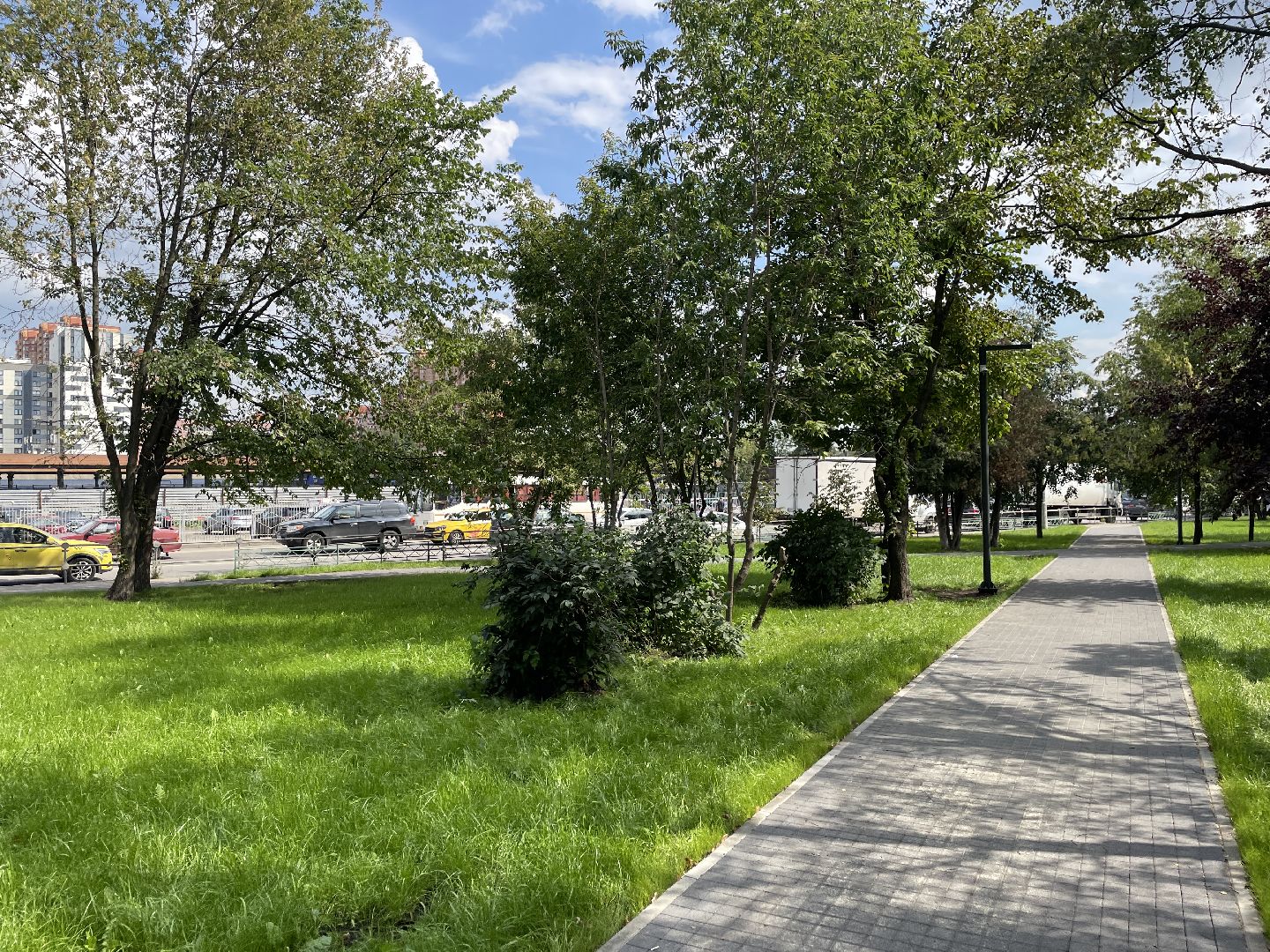 Кот, ремонт, благоустройство, МЦД