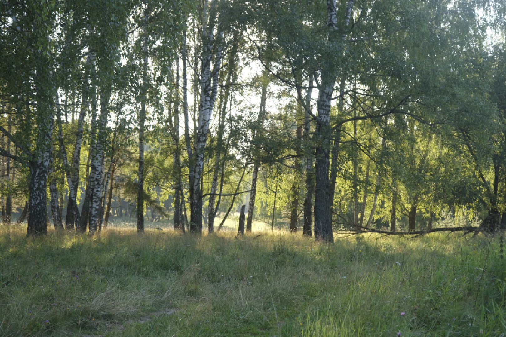 Пущино, наука, биология