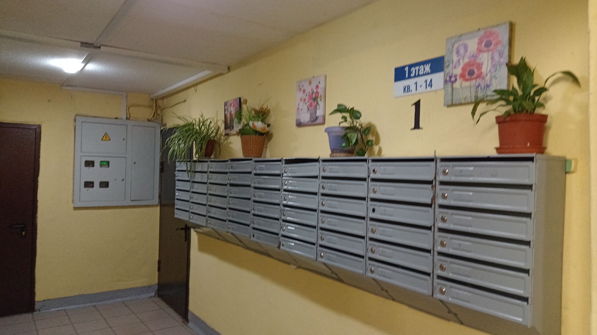 Реутов, сирота, квартира, собственность, ключи