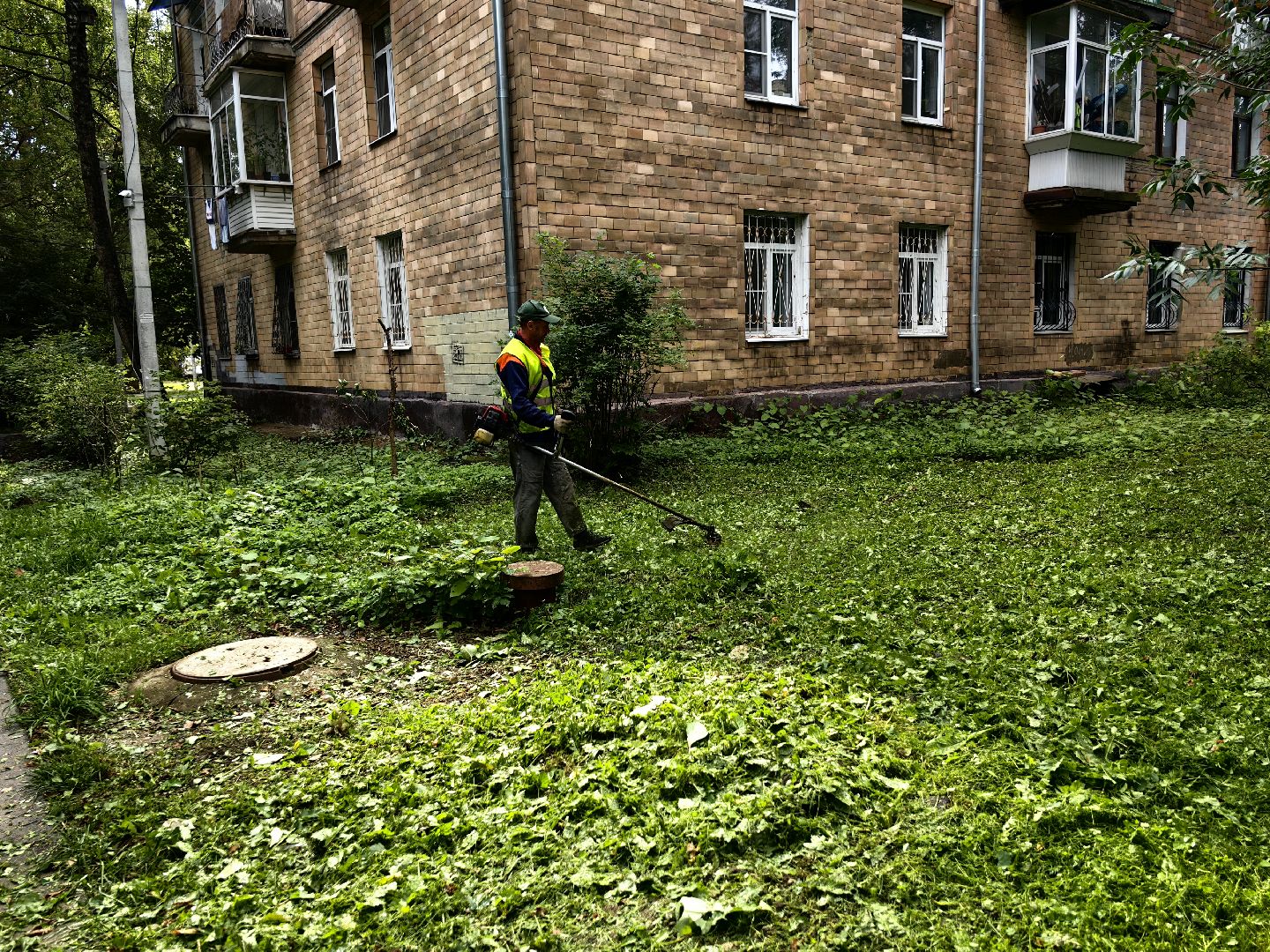 Газон, трава, стрижка, сквер, улица