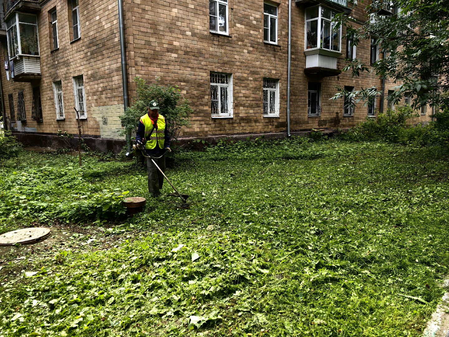 Газон, трава, стрижка, сквер, улица