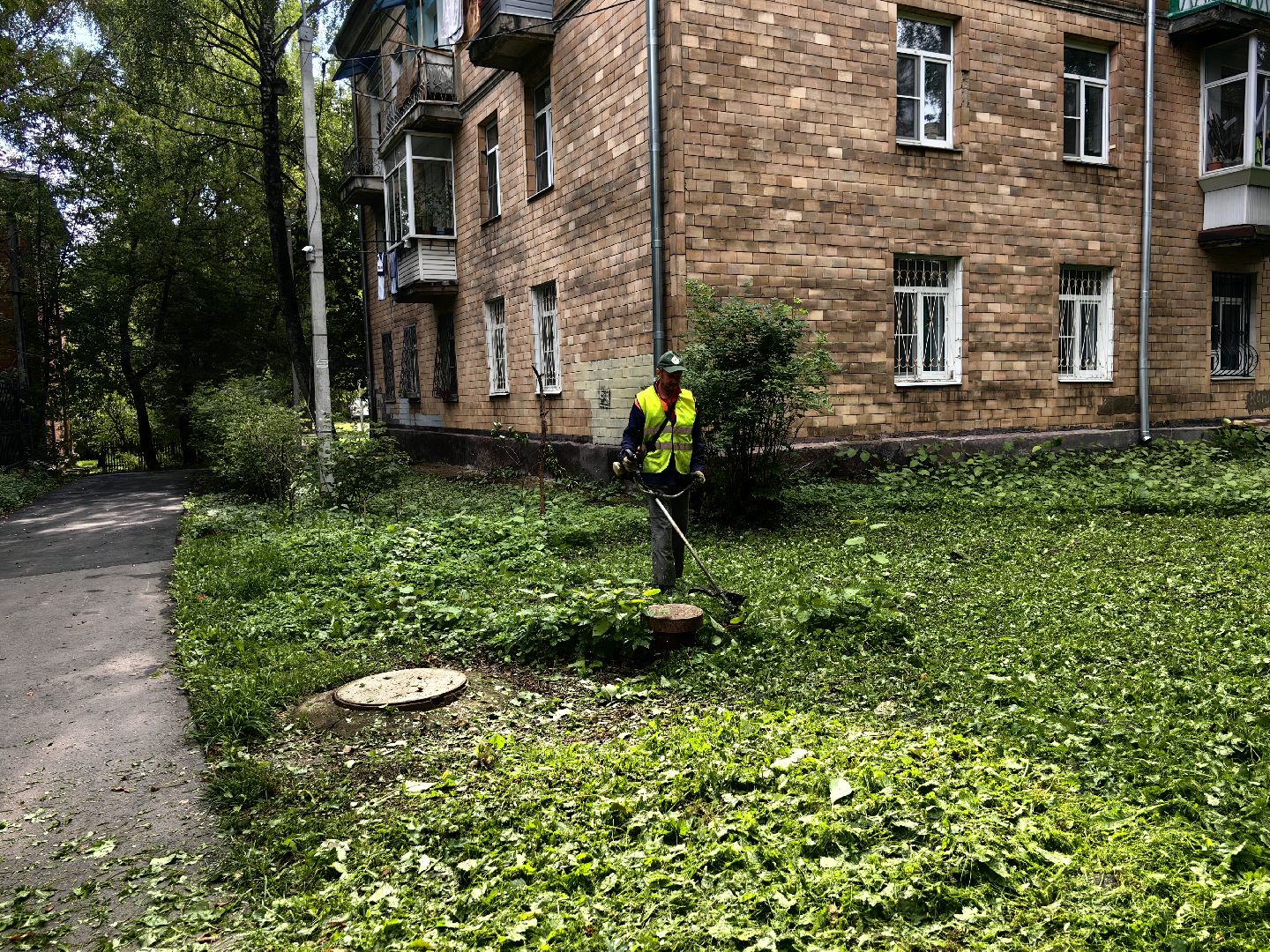 Газон, трава, стрижка, сквер, улица