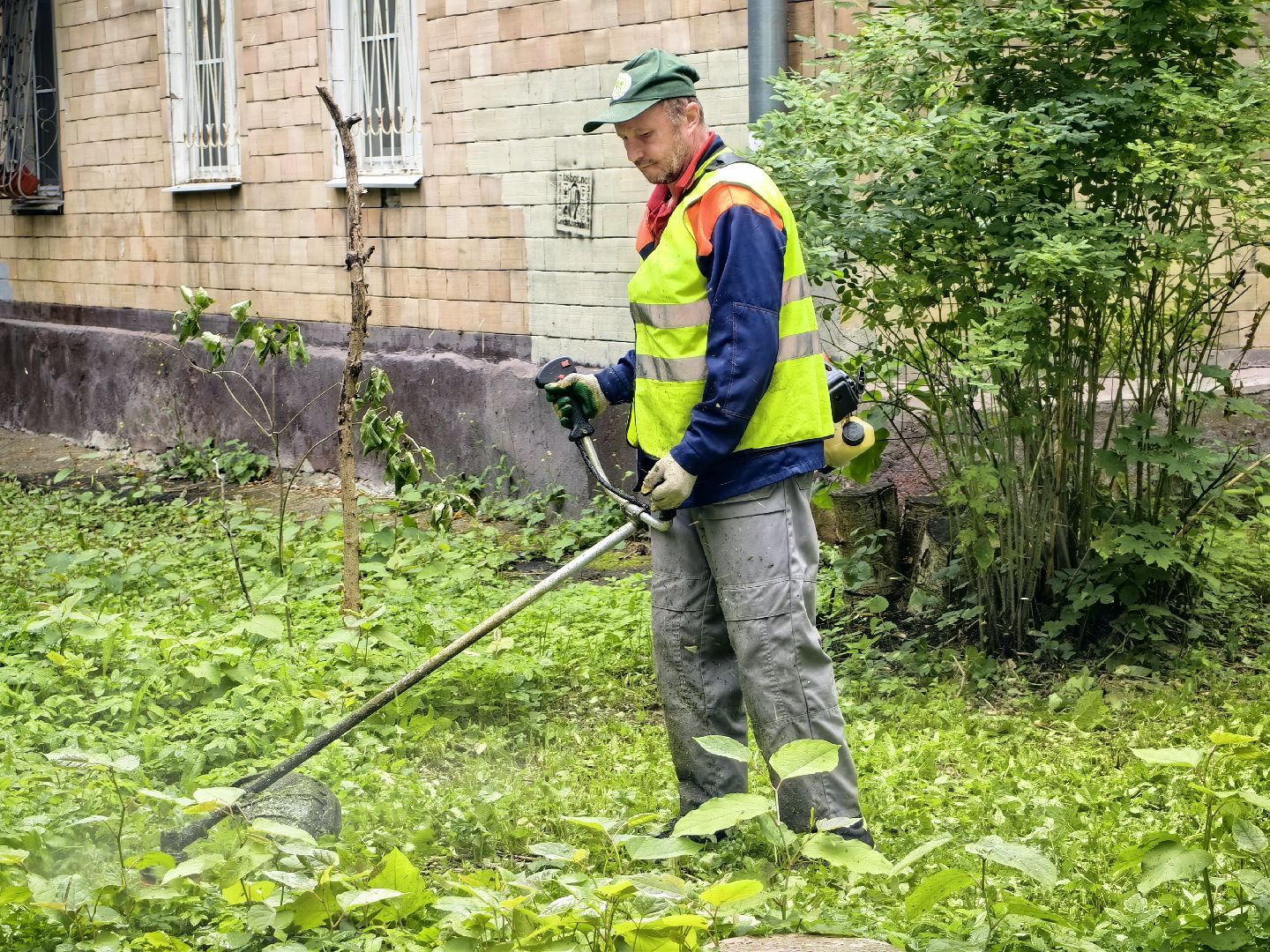 Газон, трава, стрижка, сквер, улица