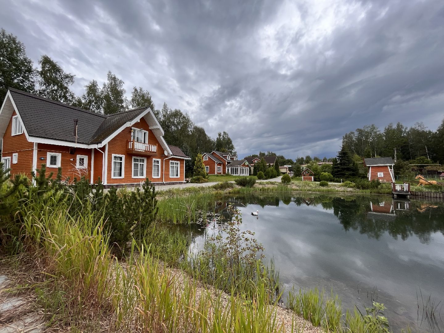 Шаховская, спорт, фигуристы, фигурное катание