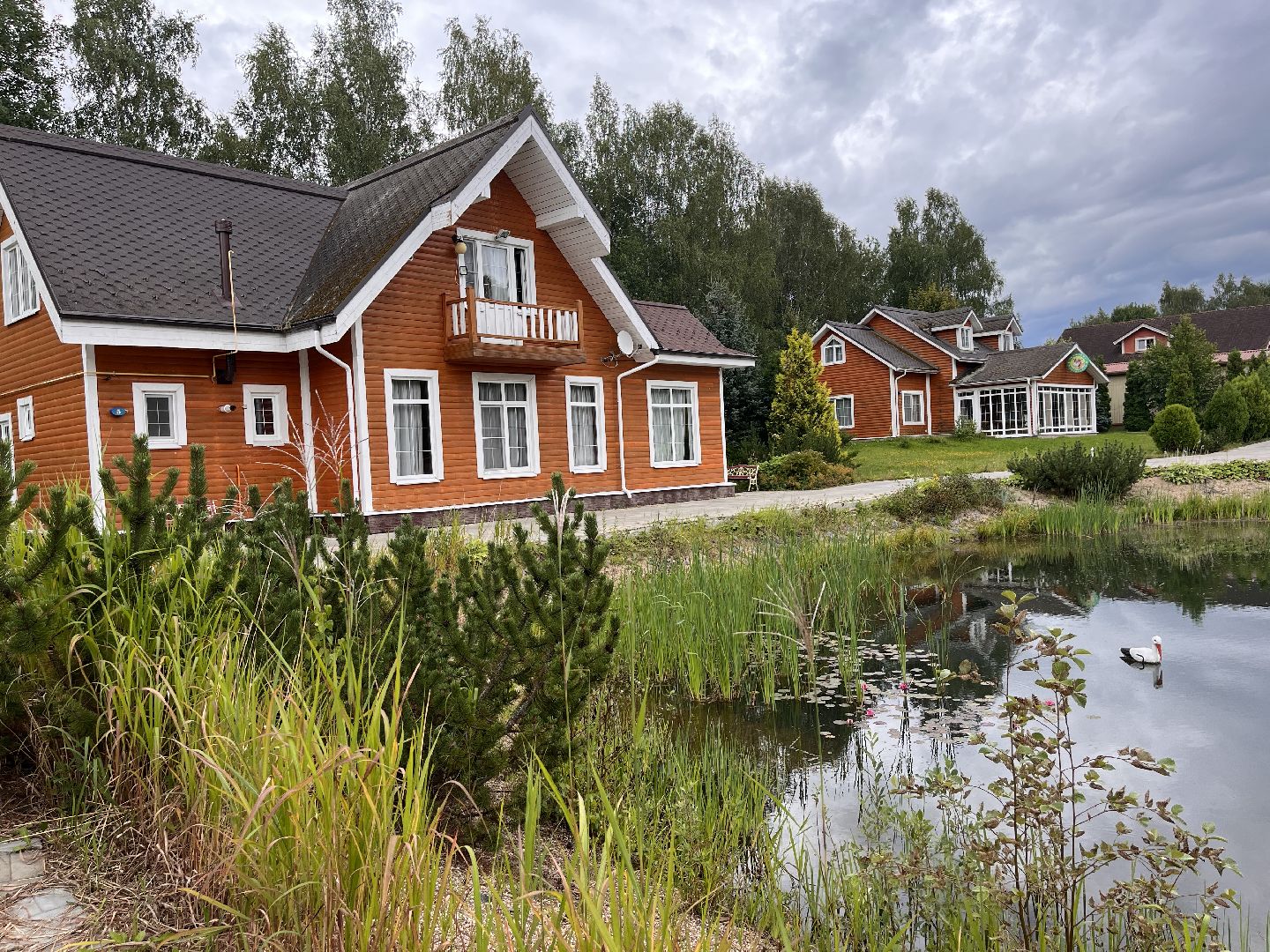 Шаховская, спорт, фигуристы, фигурное катание