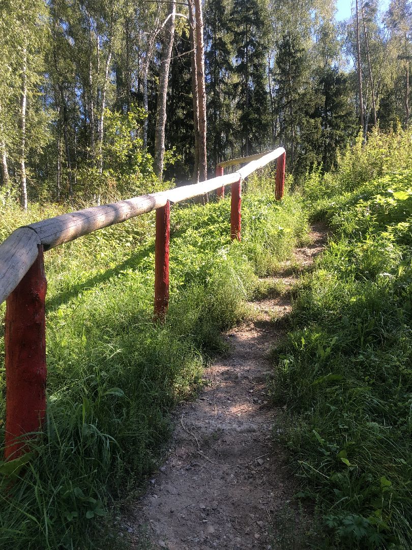 коломна, общество, благоустройство, комфортная среда