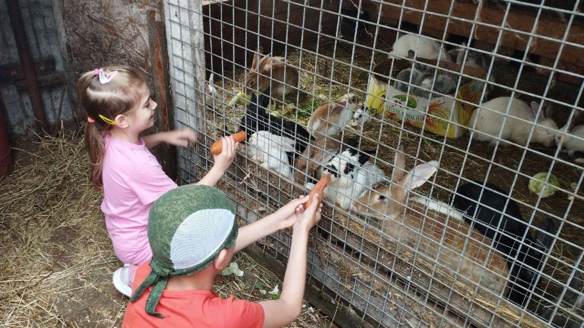 Подмосковье, Ивантеевка, дети