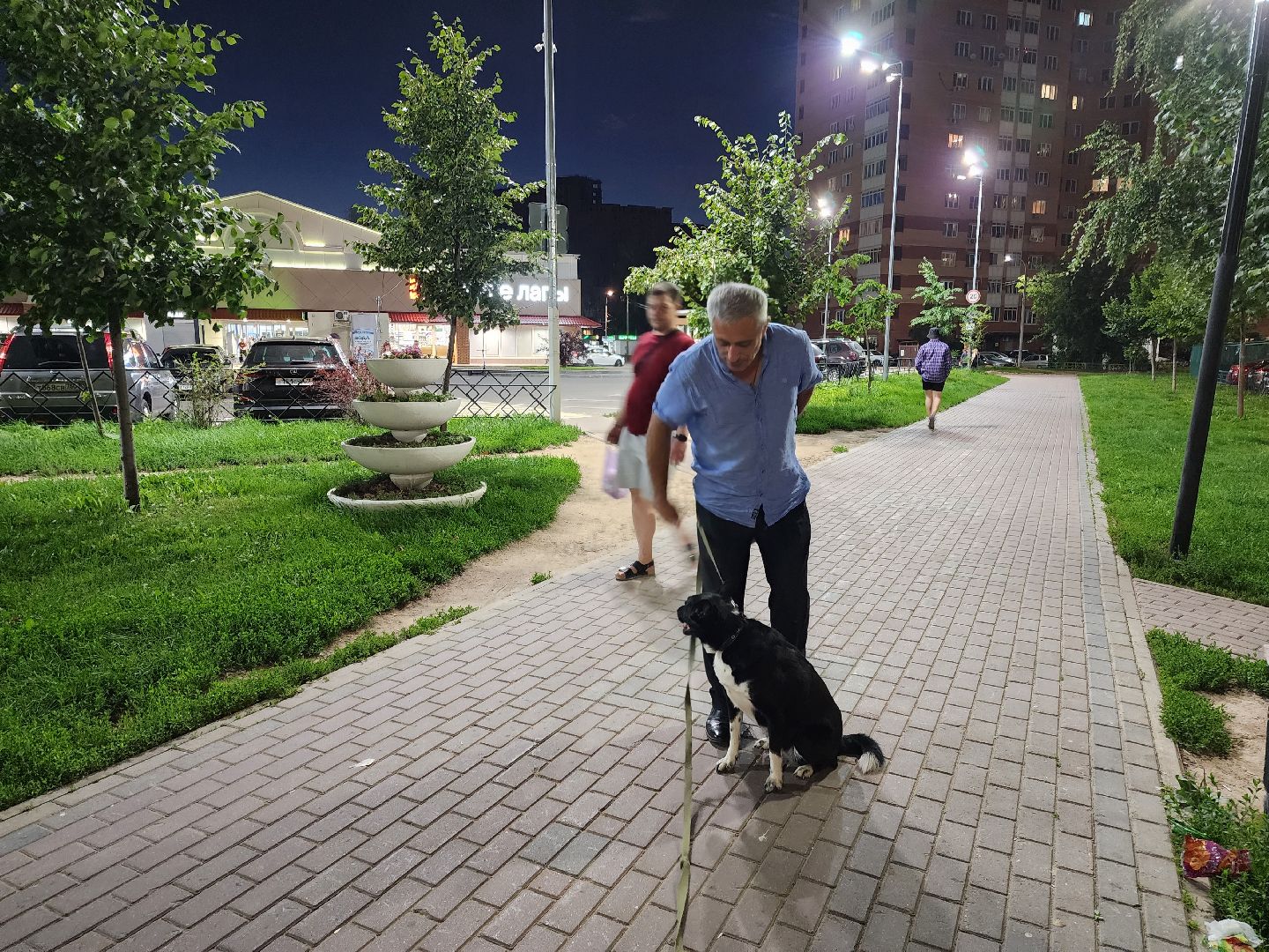 Подольск, зоозащитник, Айрапетян, собака, следствие, дело