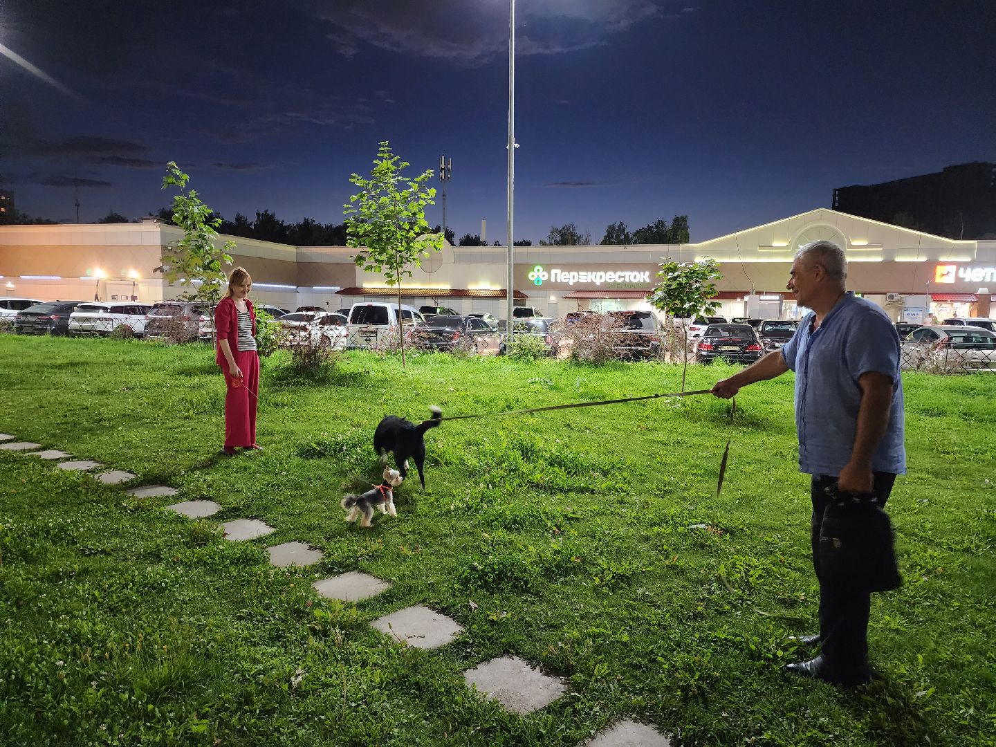 Подольск, зоозащитник, Айрапетян, собака, следствие, дело