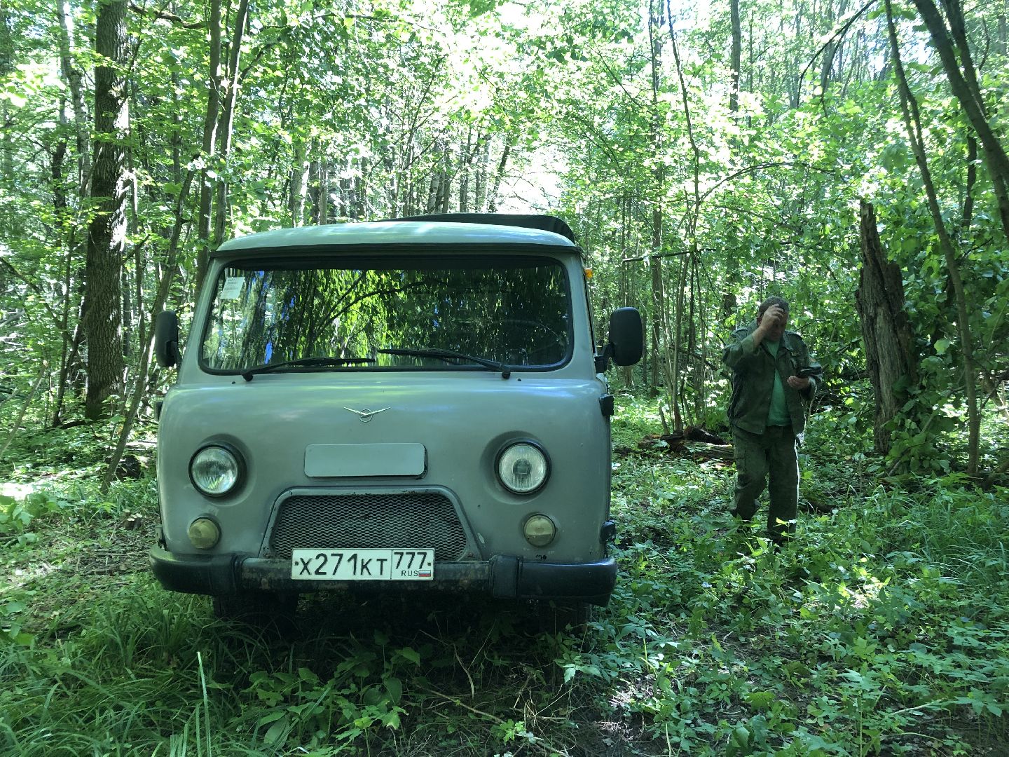 коломна, общество, природа