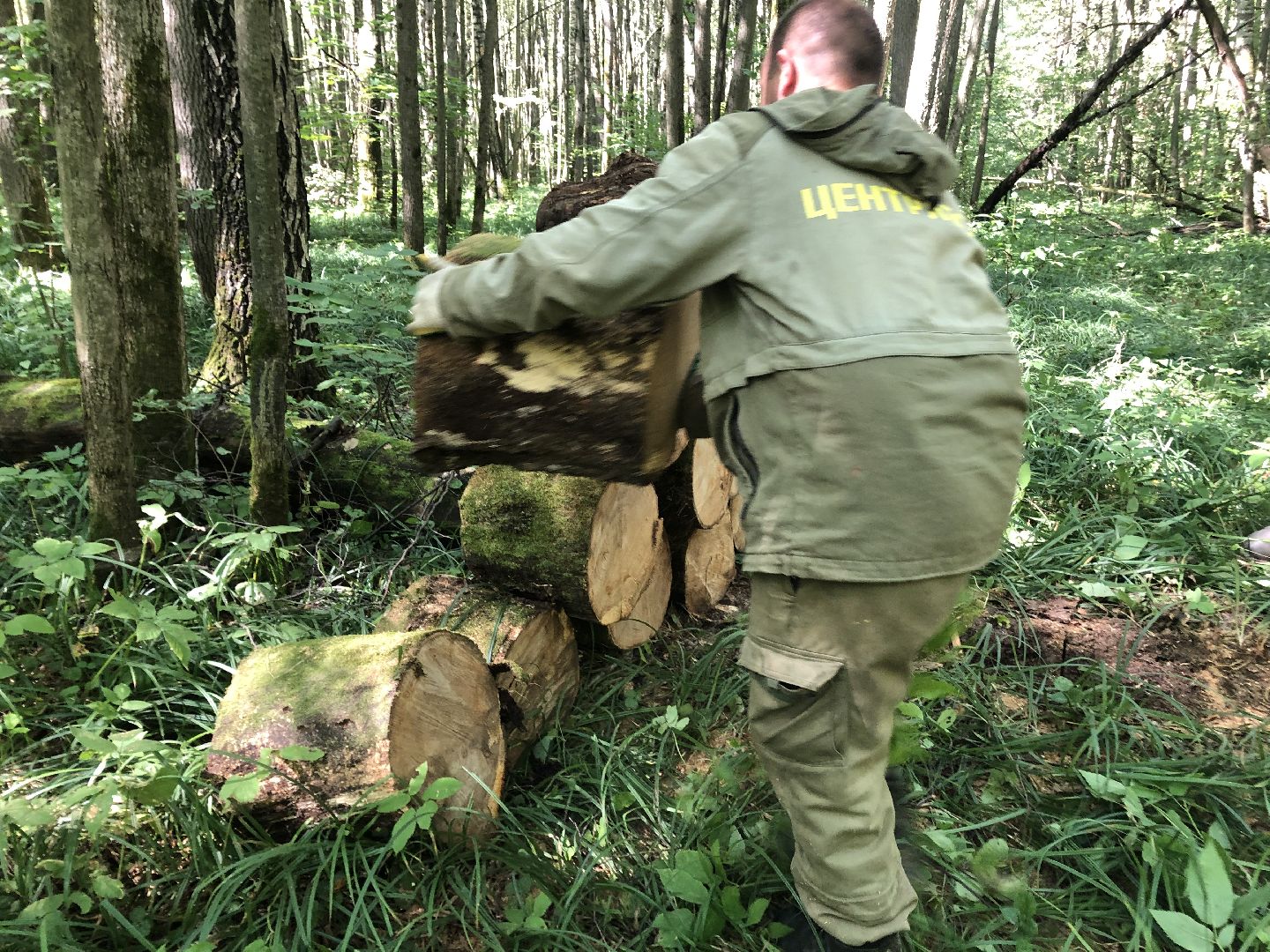 коломна, общество, природа