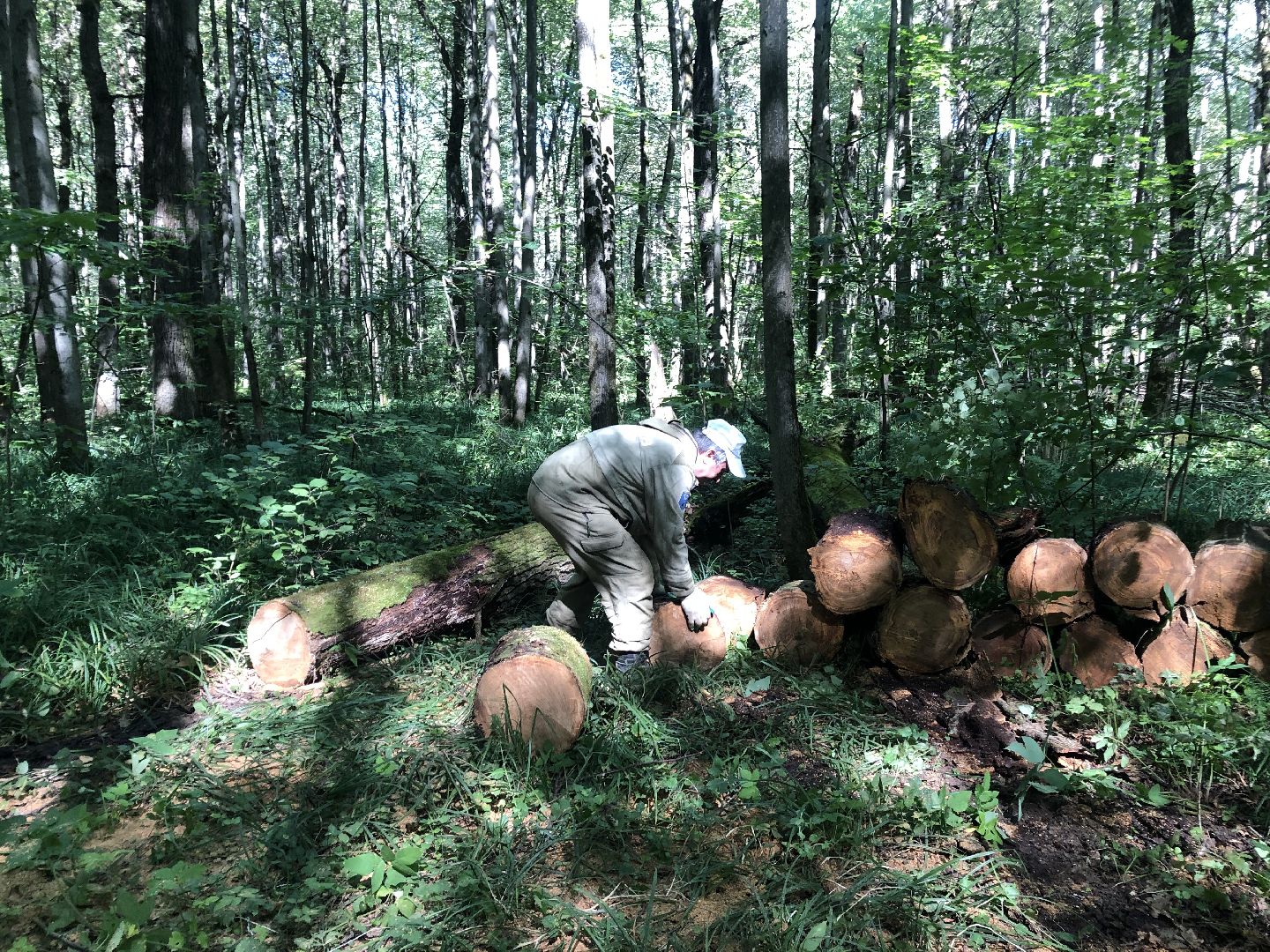 коломна, общество, природа