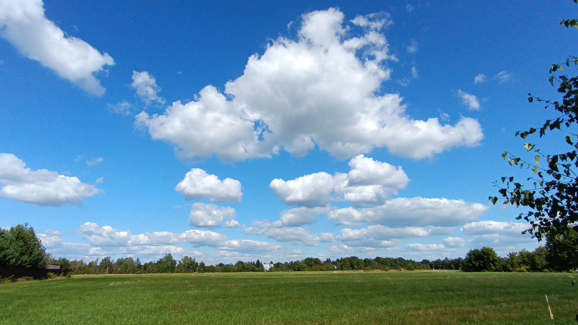 Лобня, освещение, храм