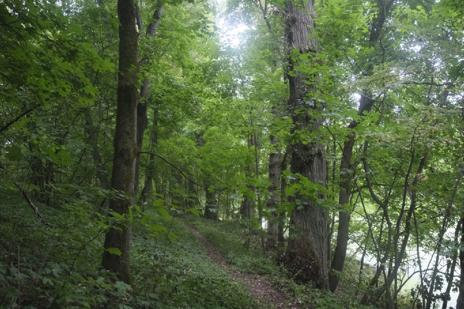 Пущино. экология