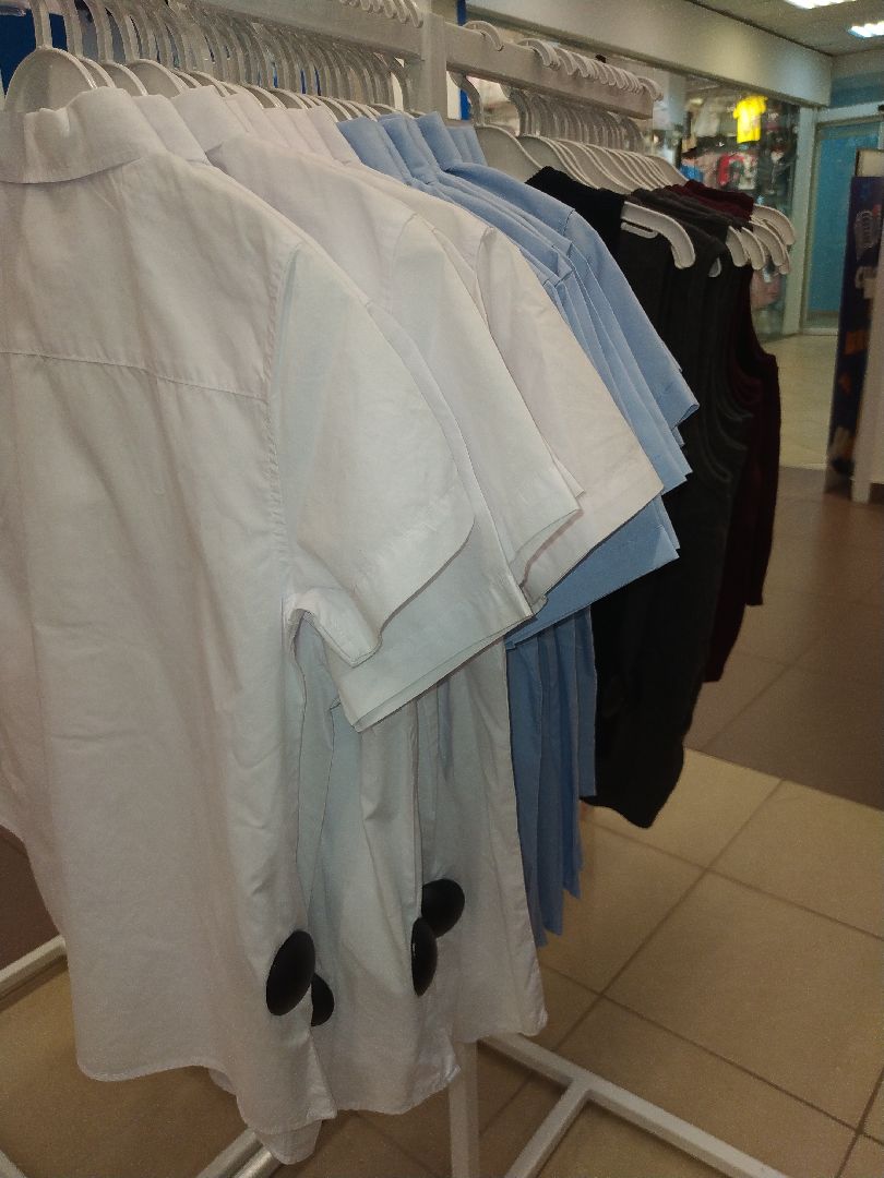 коломна, образование