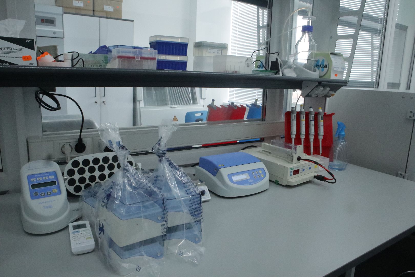 Пущино, наука