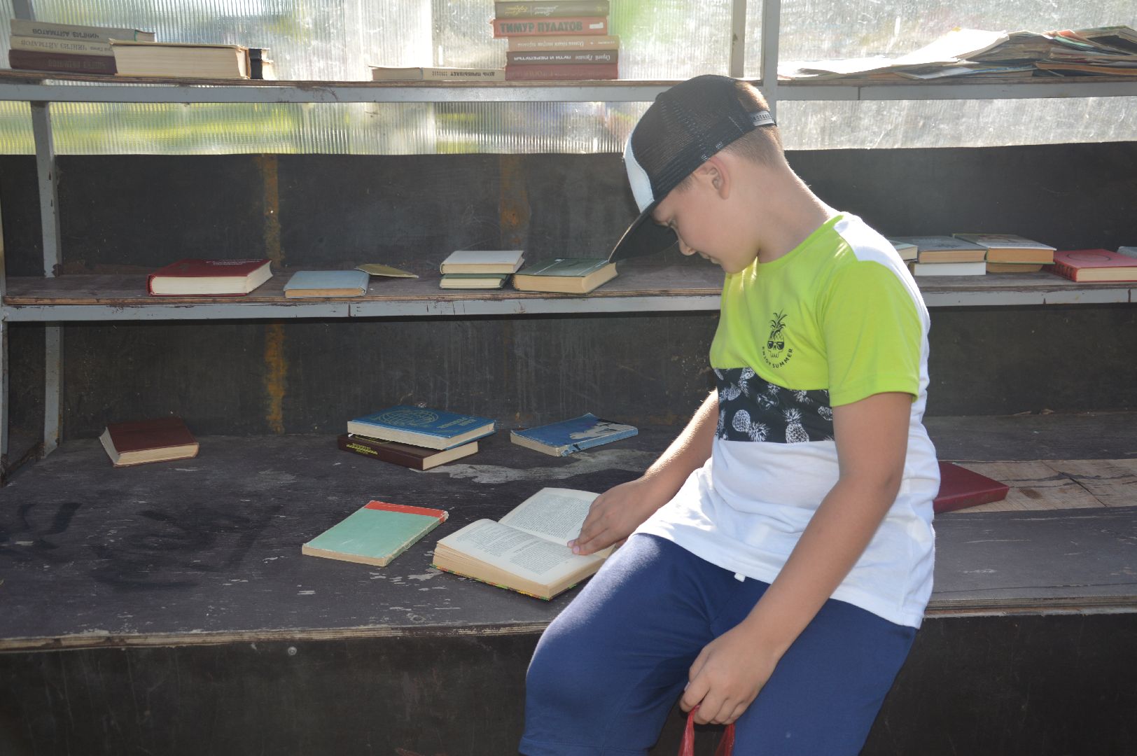 буккроссинг, Шатура, парк, книги, обмен, библиотекарь