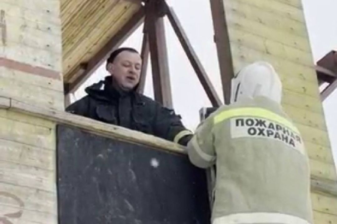 образование, профессия, колледж