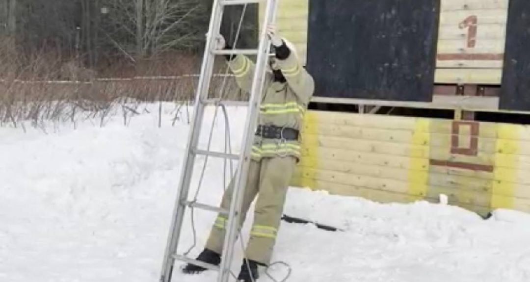 образование, профессия, колледж