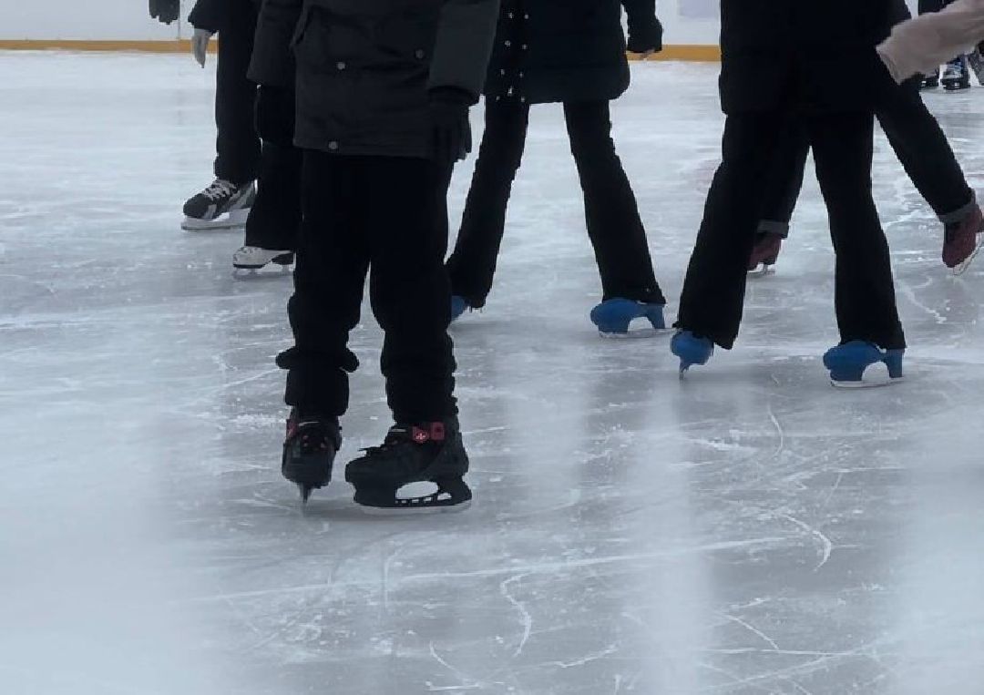 спорт, фигурное катание, каток, солнечногорск