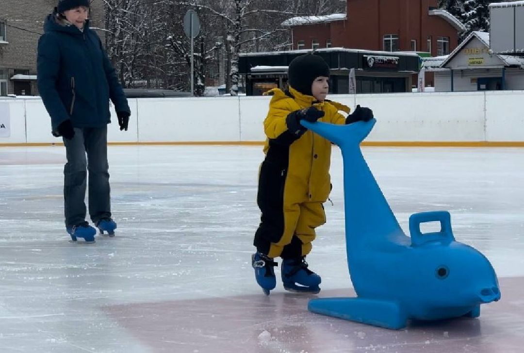 спорт, фигурное катание, каток, солнечногорск