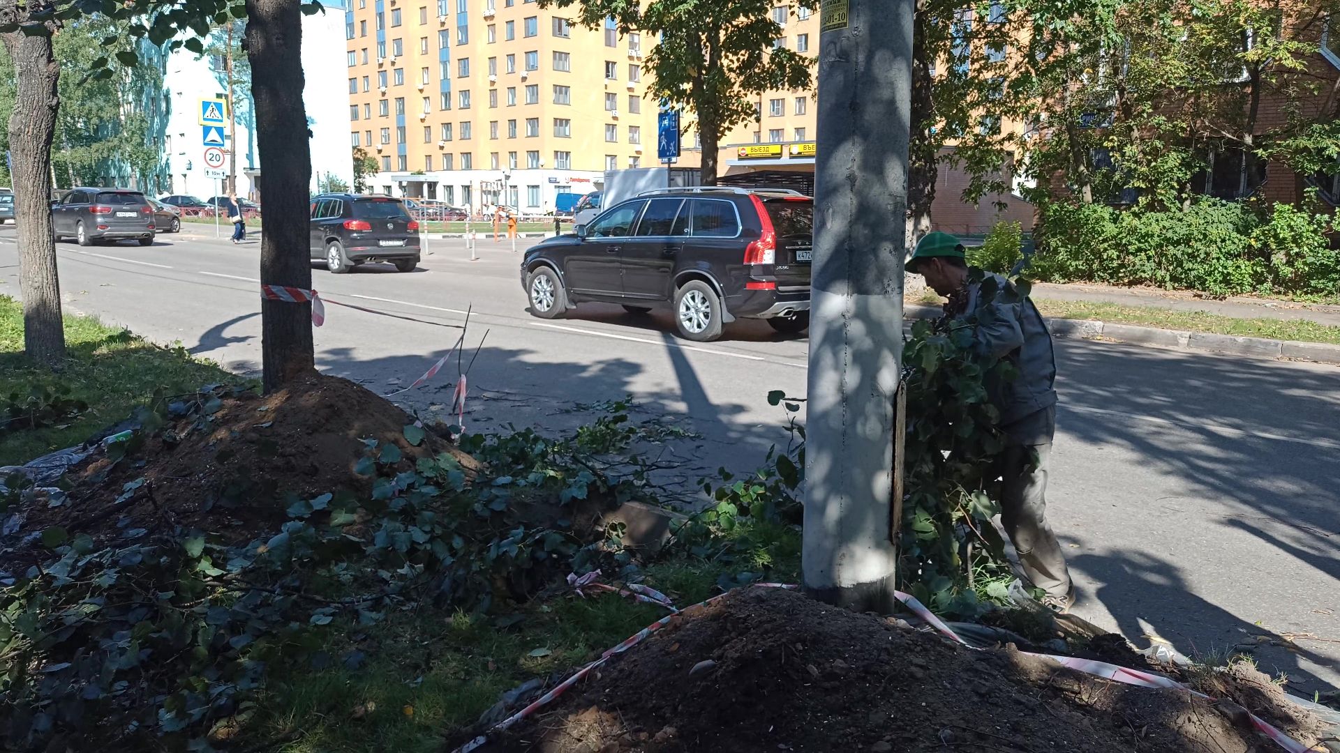 Реутов, благоустройство, тополя, торсада, фонари