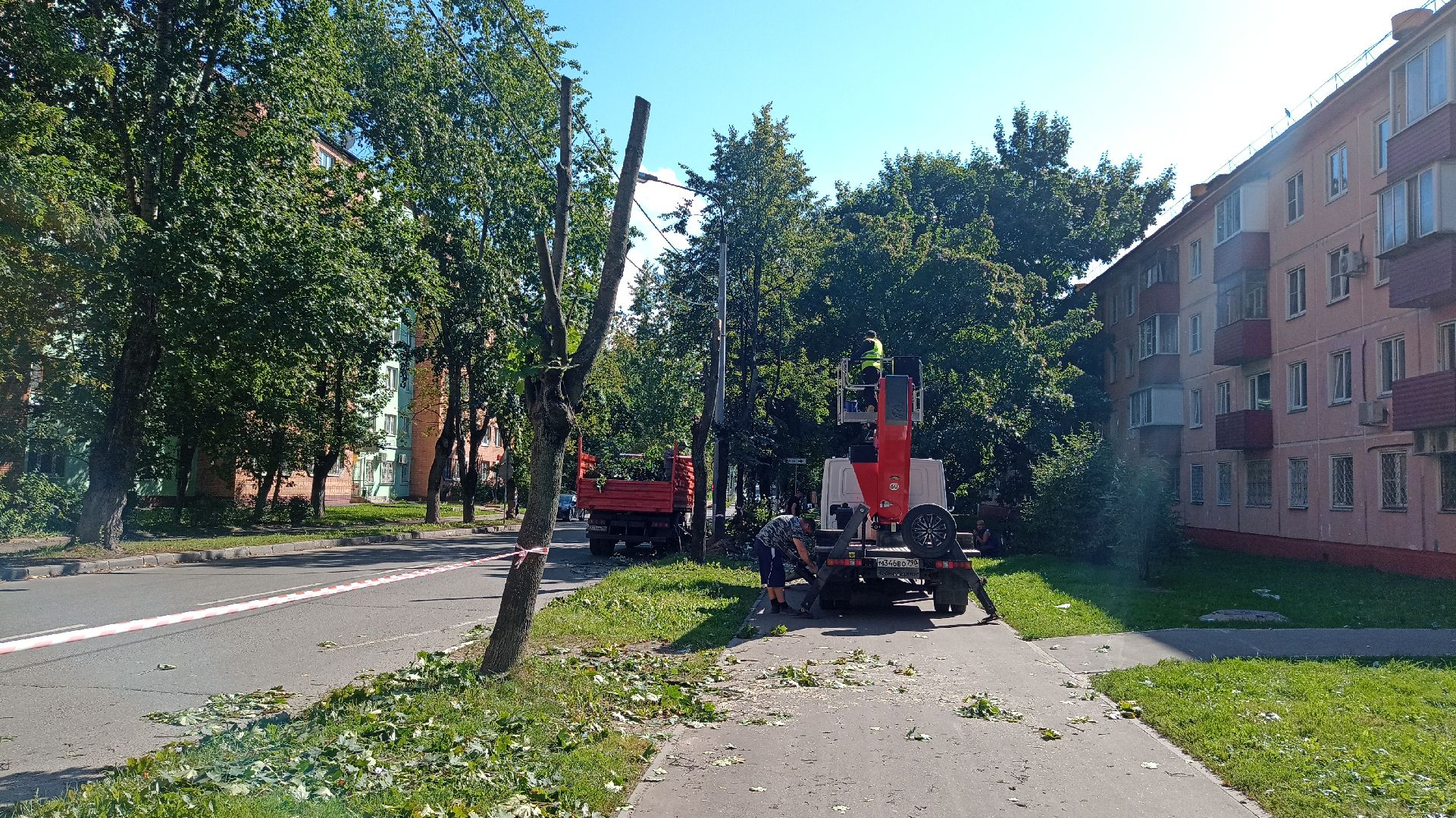 Реутов, благоустройство, тополя, торсада, фонари