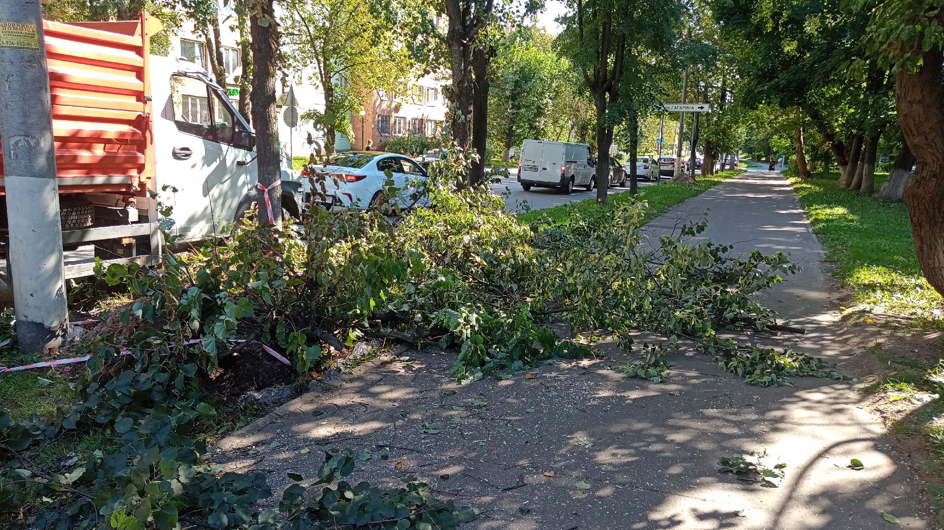 Реутов, благоустройство, тополя, торсада, фонари