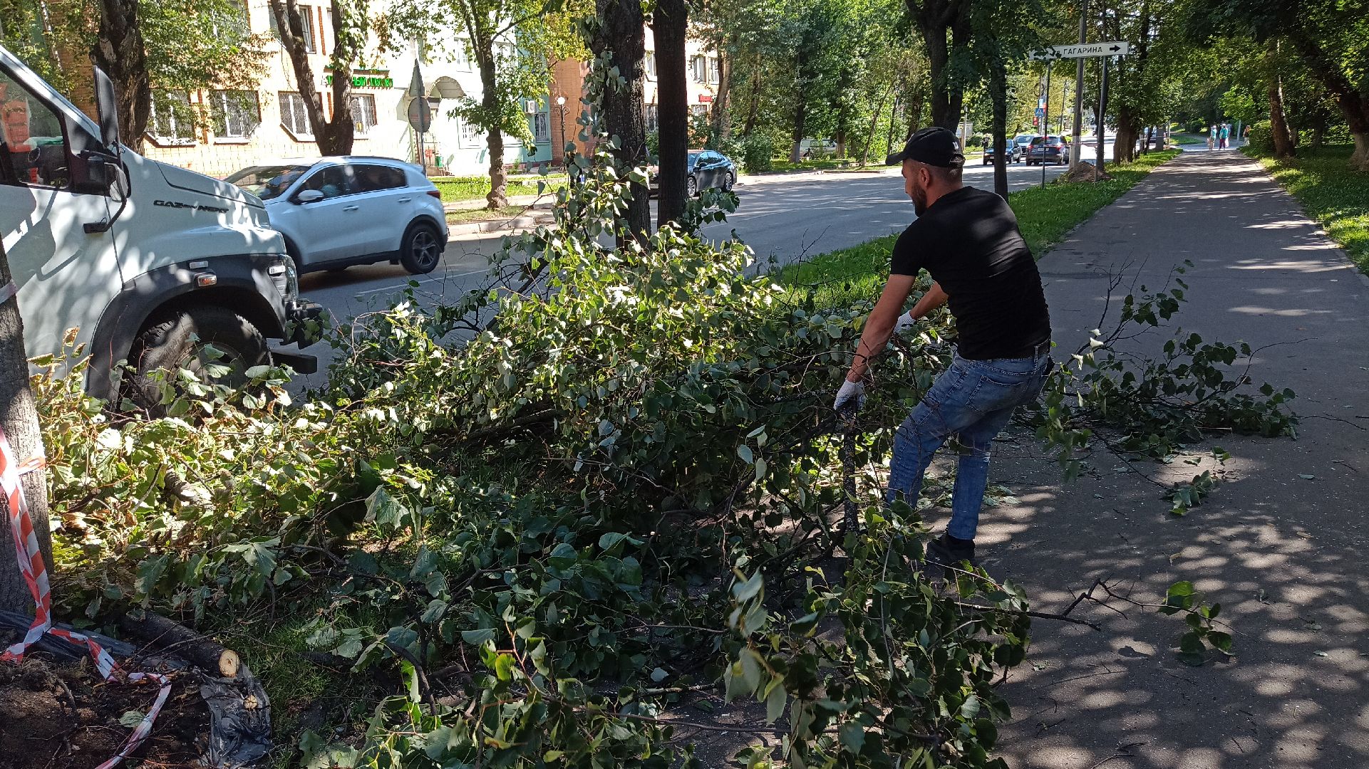 Реутов, благоустройство, тополя, торсада, фонари