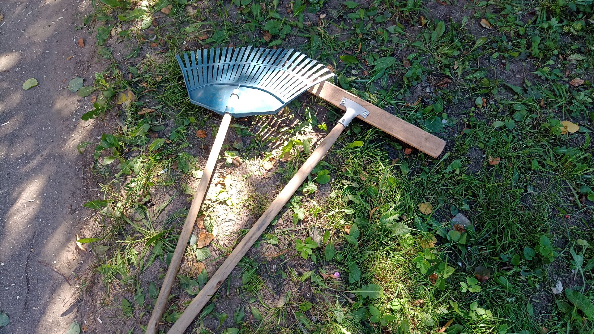 Реутов, благоустройство, тополя, торсада, фонари