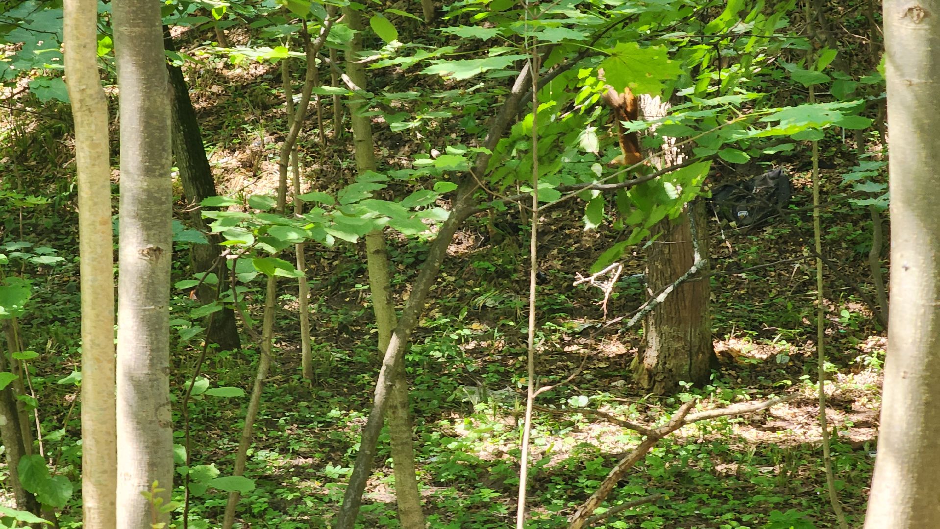 Ступино, парки подмосковья, парк Островского