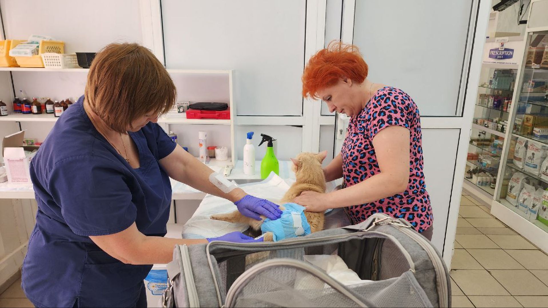 Дмитров, Ветстанция, Минсельхоз