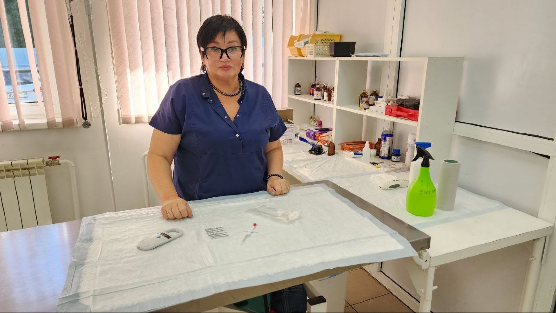 Дмитров, Ветстанция, Минсельхоз