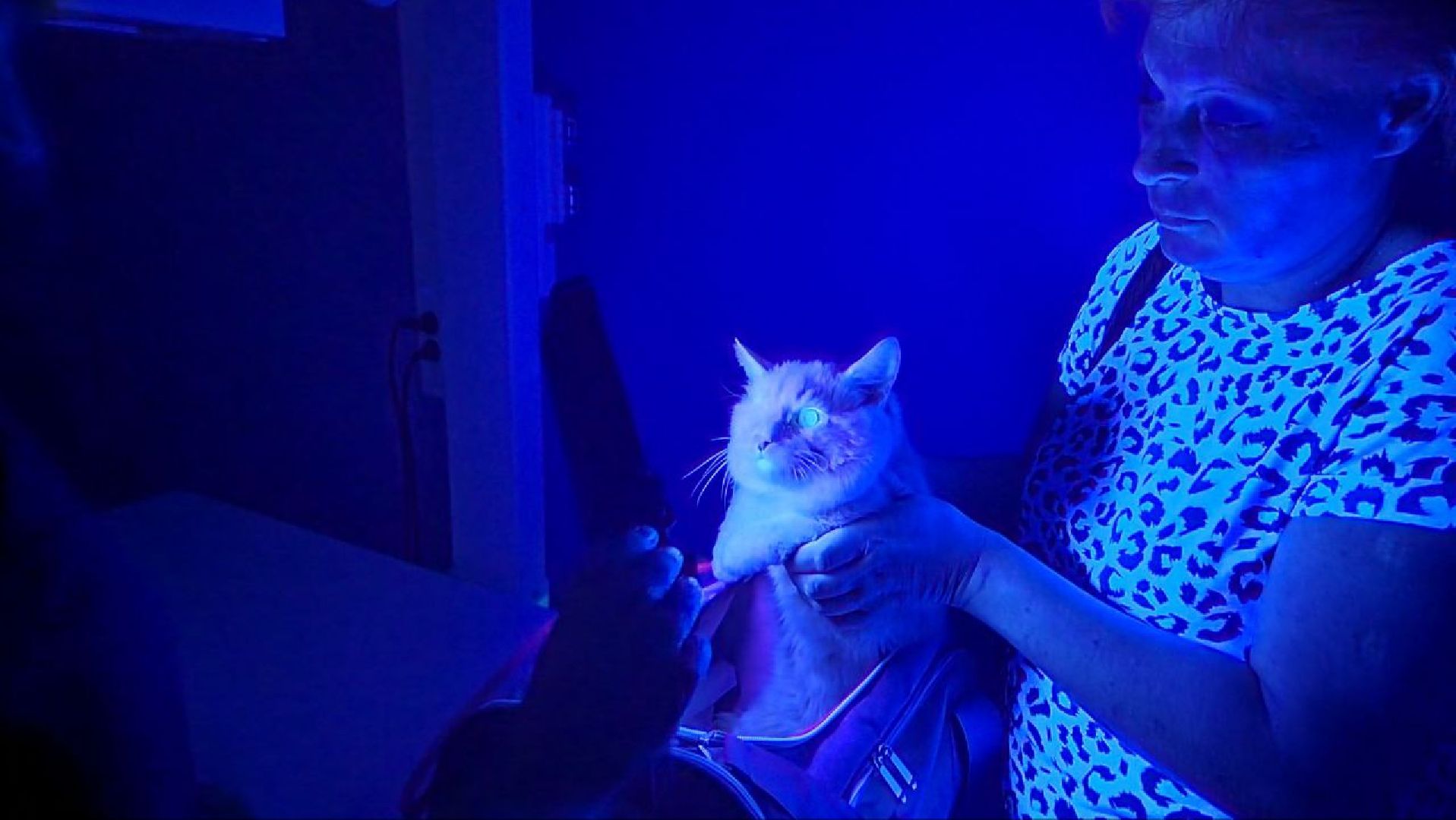 Дмитров, Ветстанция, Минсельхоз