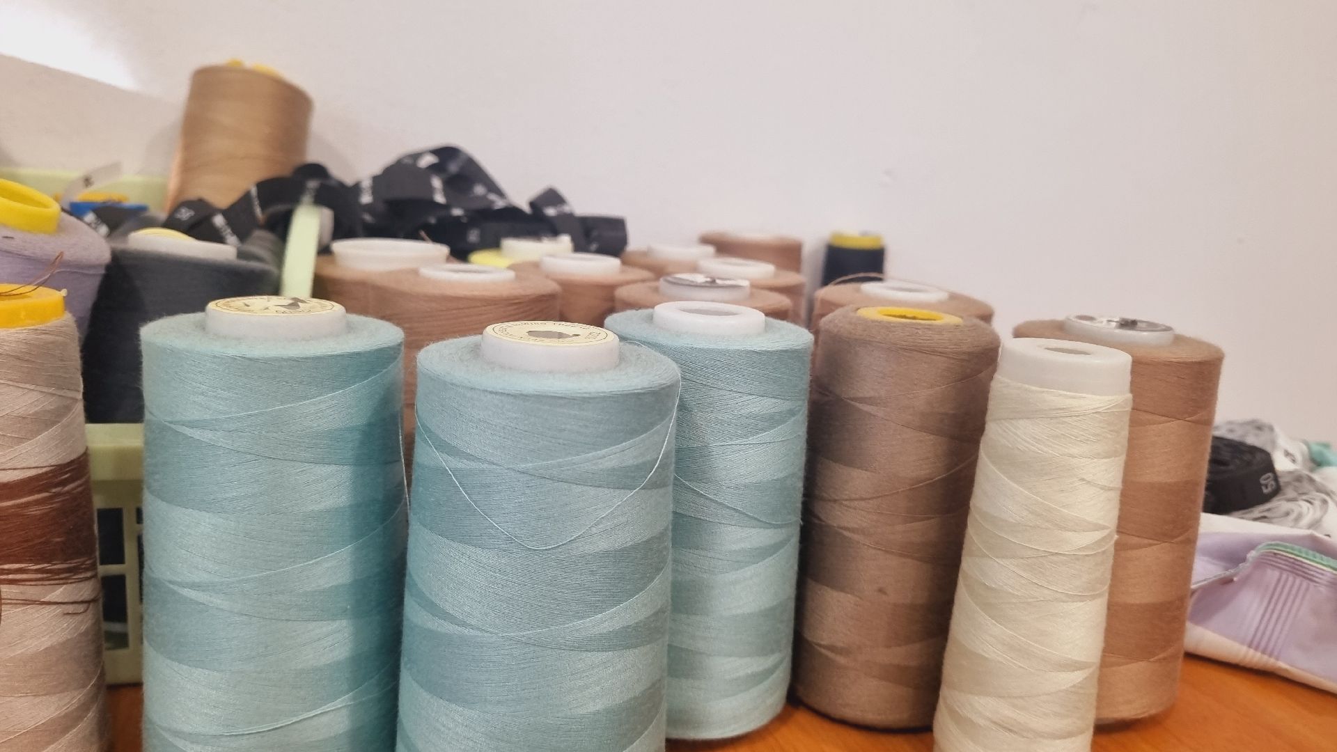 Подмосковье, Городской округ Пушкинский, волонтёры