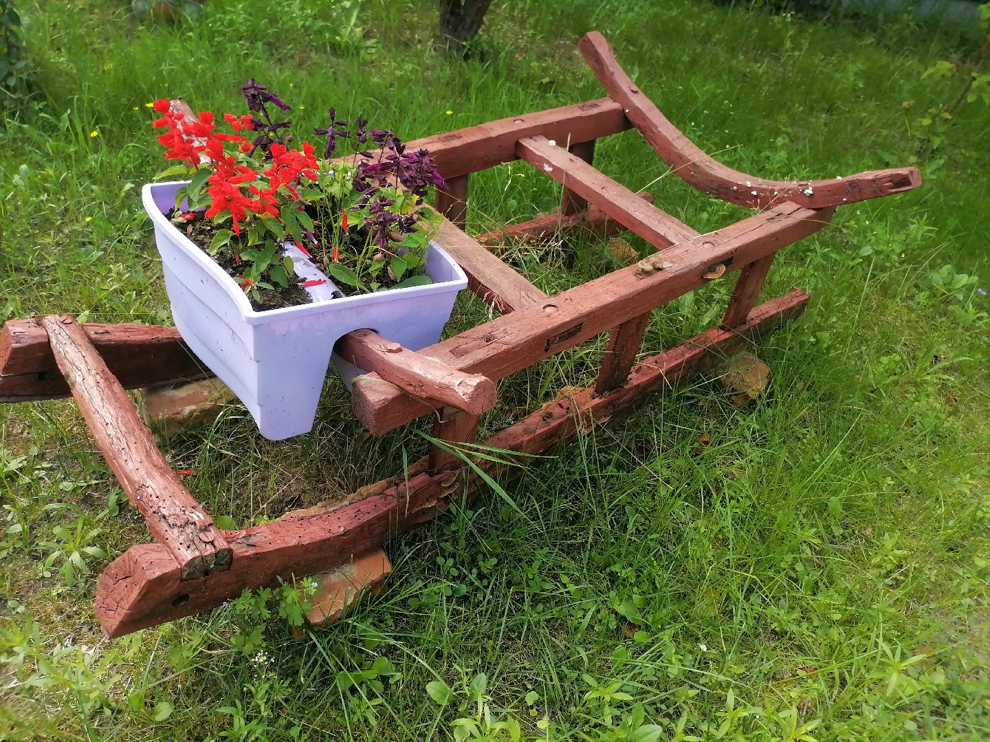 музейналичников