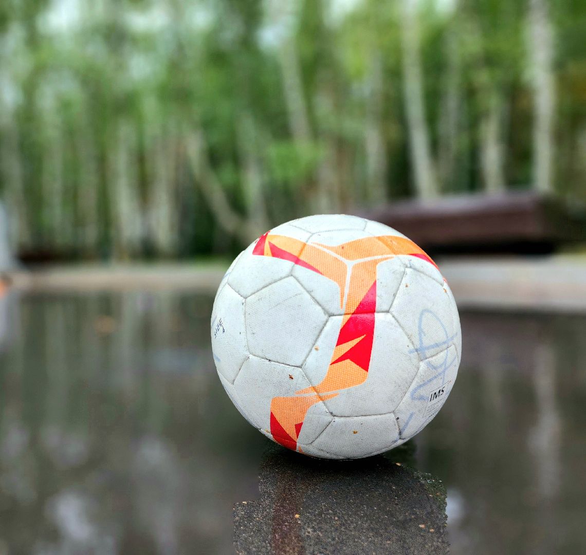 Домодедово, спортивная тренировка, футбол, тренер, популяризация футбола, ФК Пересвет, футбольная команда