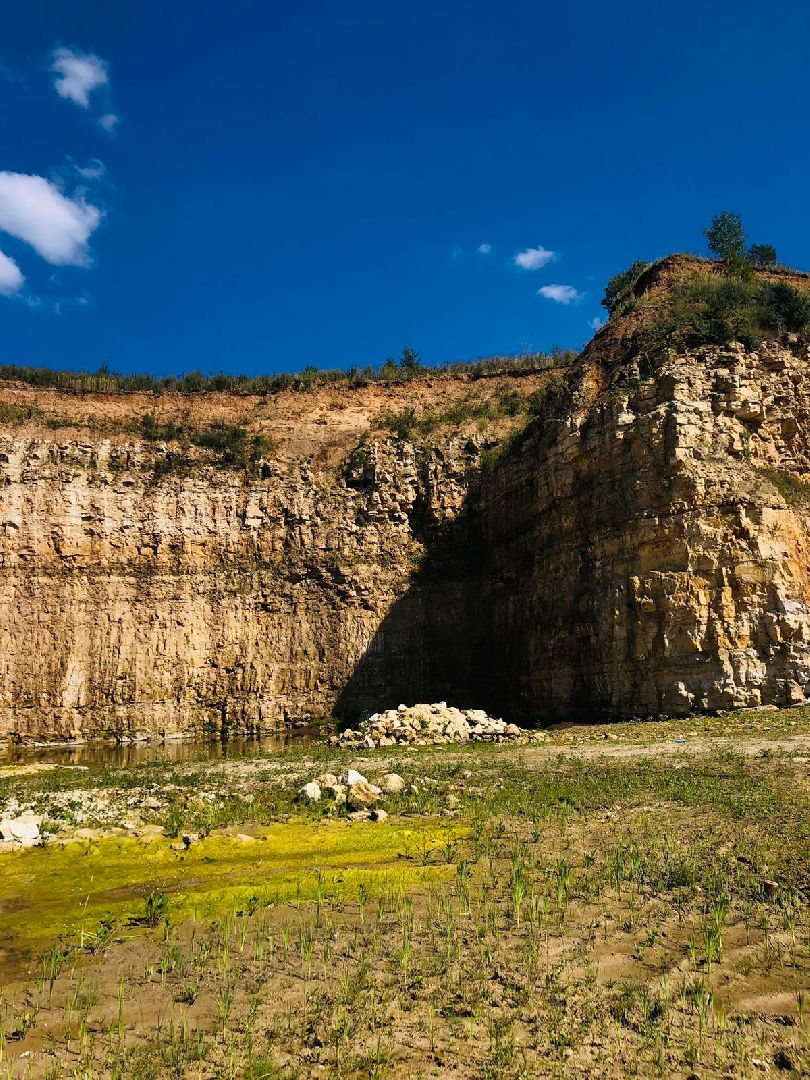 Домодедово, карьер, раскопки, археологи, палеонтологи, геология, экскурсия