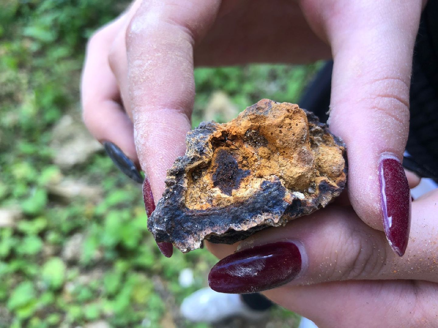 Домодедово, карьер, раскопки, археологи, палеонтологи, геология, экскурсия