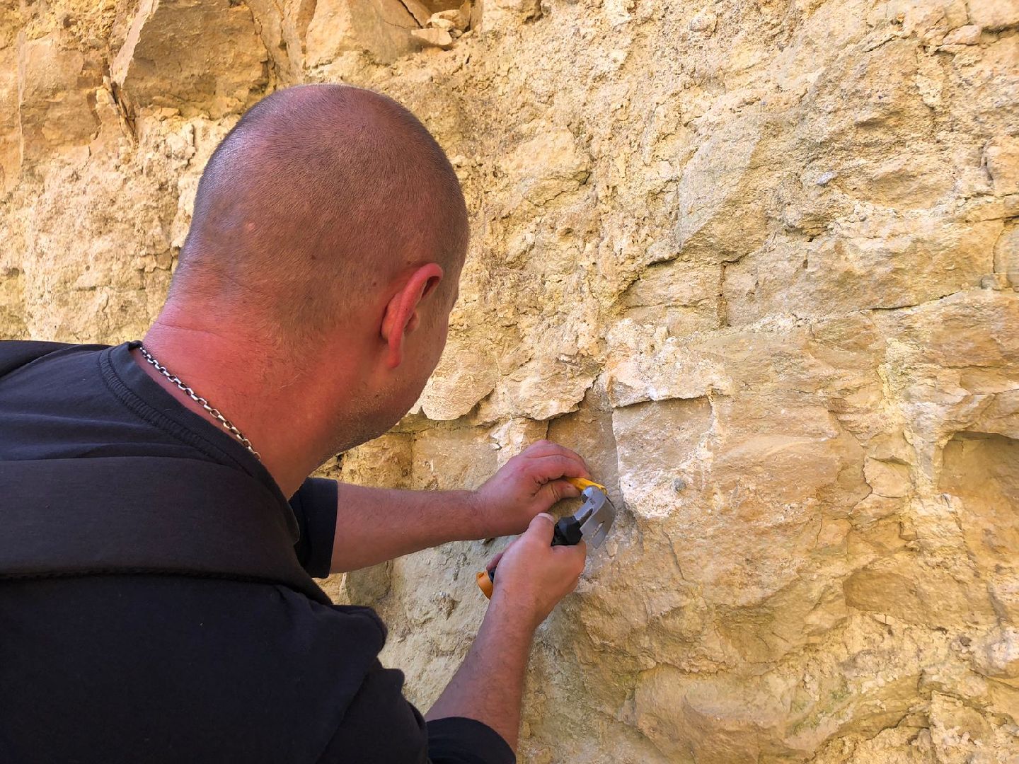 Домодедово, карьер, раскопки, археологи, палеонтологи, геология, экскурсия