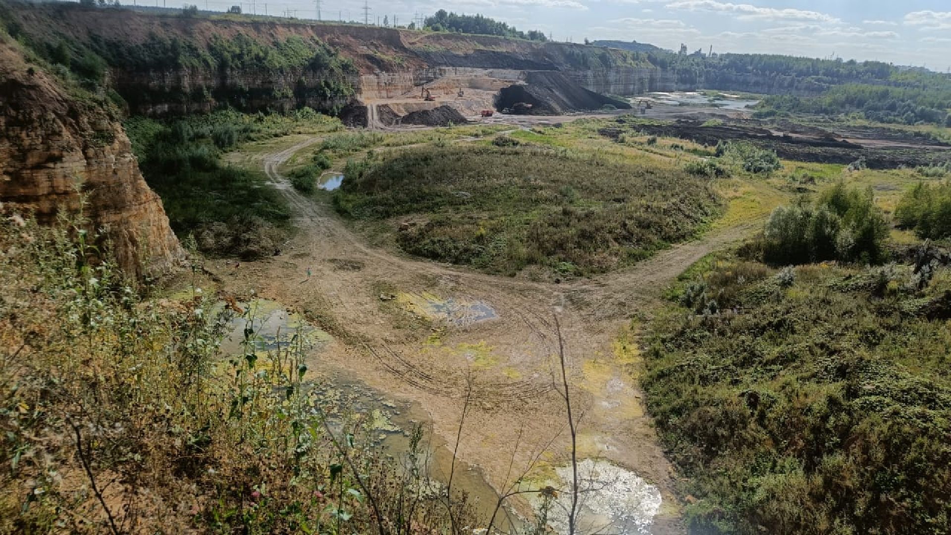 Домодедово, карьер, раскопки, археологи, палеонтологи, геология, экскурсия