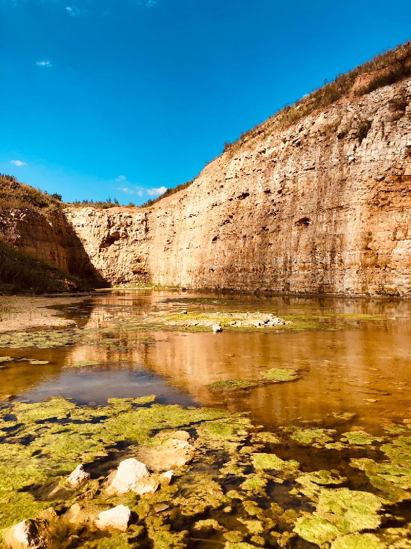 Домодедово, карьер, раскопки, археологи, палеонтологи, геология, экскурсия