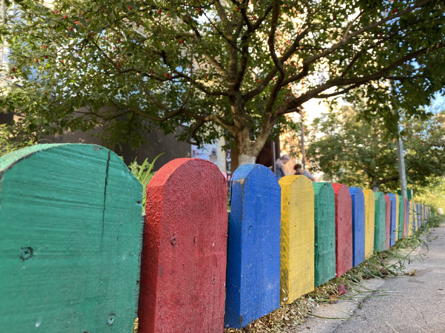 Домодедово, лучшая клумба, конкурс цветов, благоустройство, озеленение двора