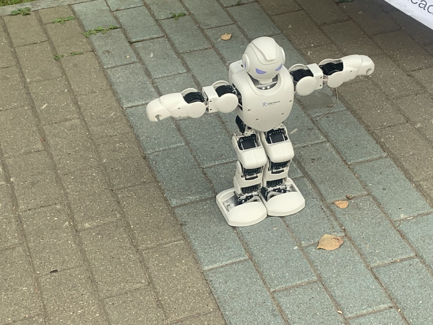 мастер-класс, программа, програмирование, день флага,