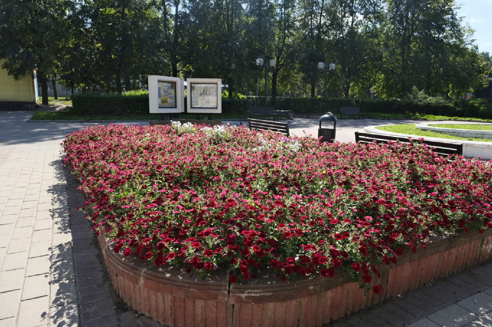 Пущино, цветы,