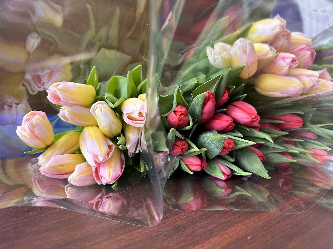 Одинцово, Единая Россия, Волонтёры, Общественники