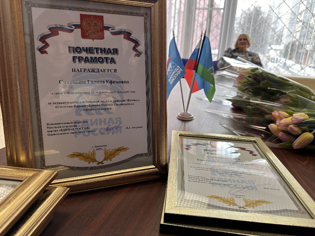 Одинцово, Единая Россия, Волонтёры, Общественники