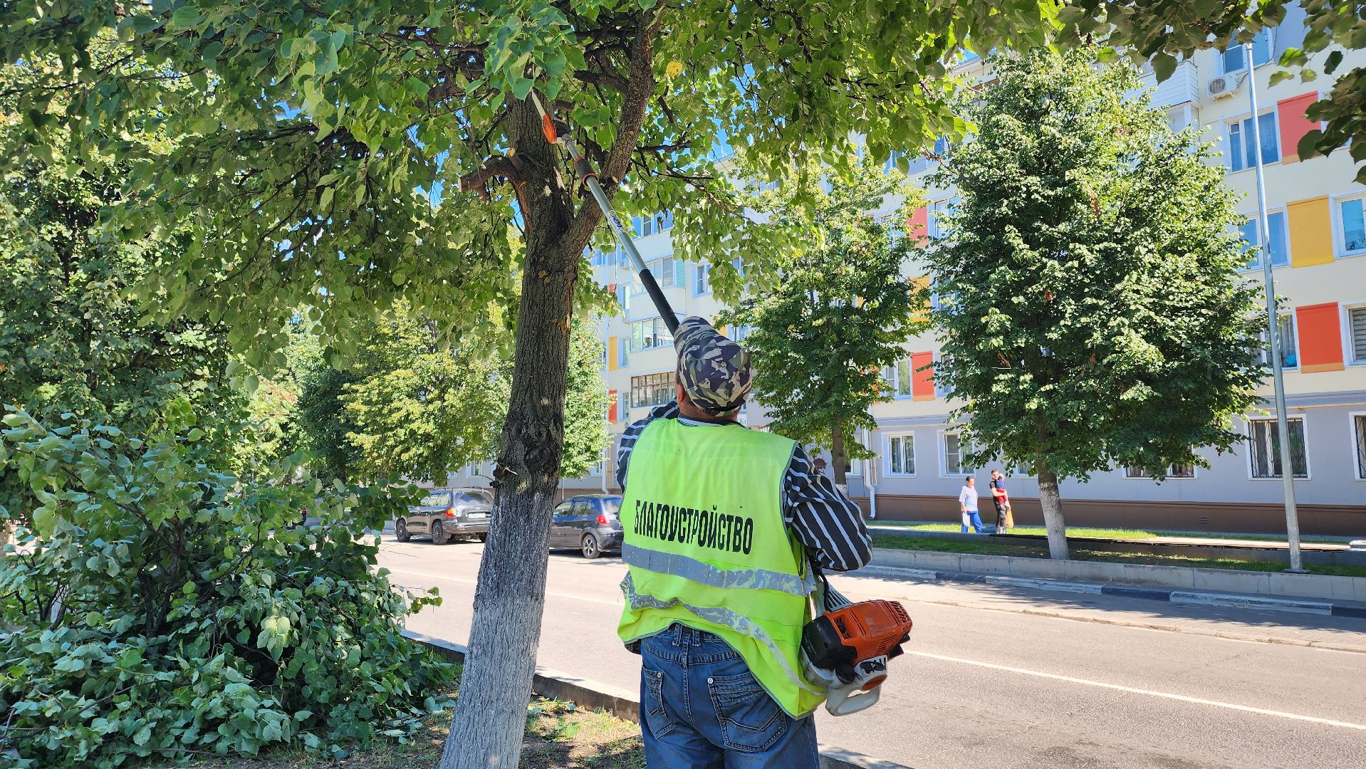 Кашира, благоустройство, уборка, кронирование