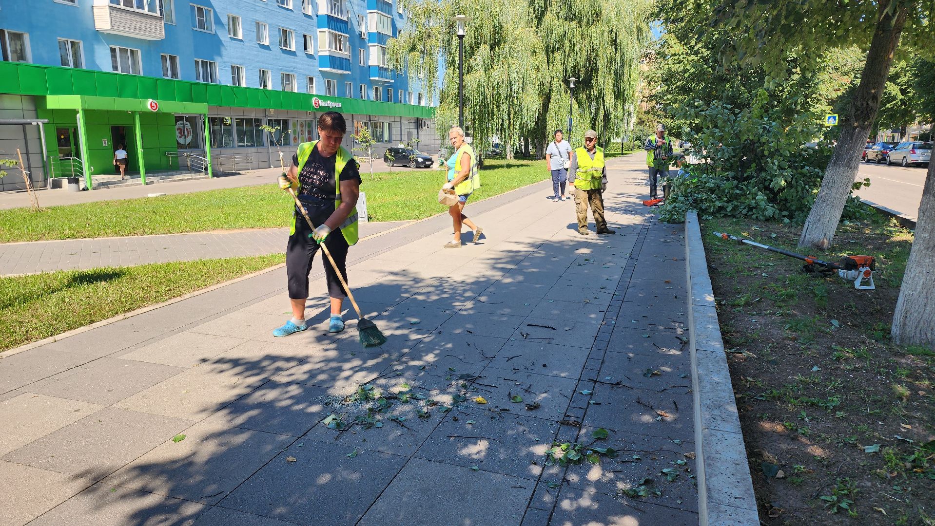 Кашира, благоустройство, уборка, кронирование